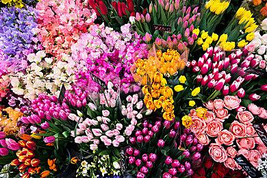 经营模拟游戏《铁路帝国2》确定5月25日发售